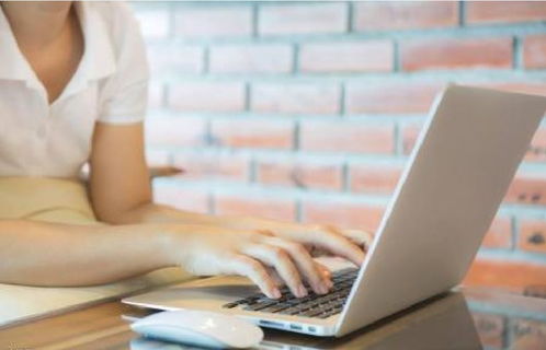 北京专业翻译公司提供的翻译服务概述