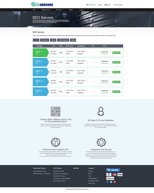 北京翻译SEO服务器网站效果图赏析 专业、高效与优化的完美结合
